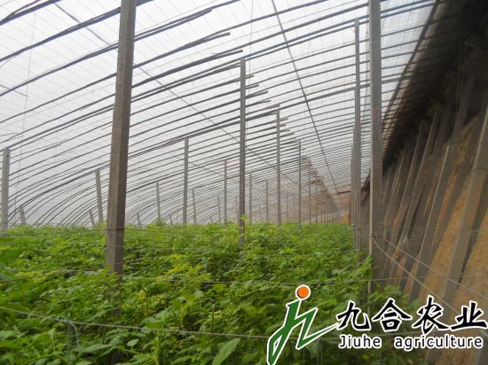 種植溫室