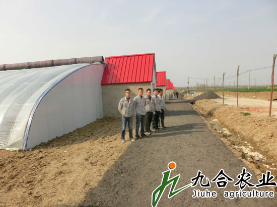 安徽合肥長豐蔬菜園區(qū)（保溫板日光溫室）