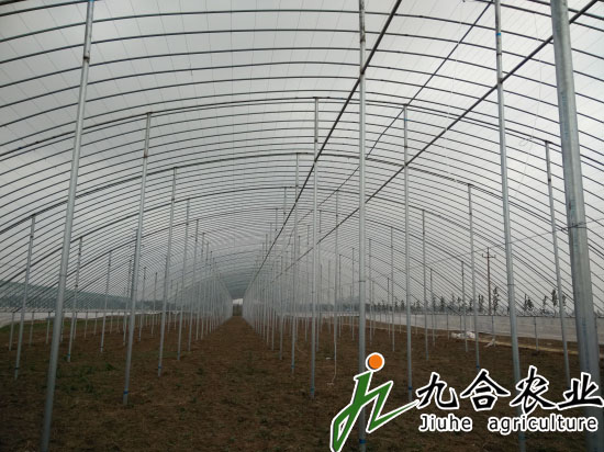 濰坊金寶坊安農(nóng)博園（全鋼架立柱拱棚）