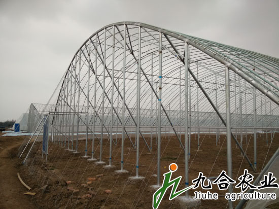 濰坊金寶坊安農(nóng)博園（全鋼架立柱拱棚）