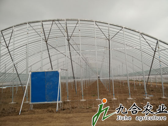濰坊金寶坊安農(nóng)博園（全鋼架立柱拱棚）