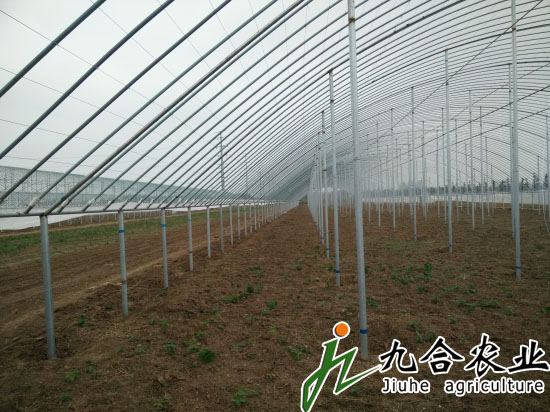濰坊金寶坊安農(nóng)博園（全鋼架立柱拱棚）