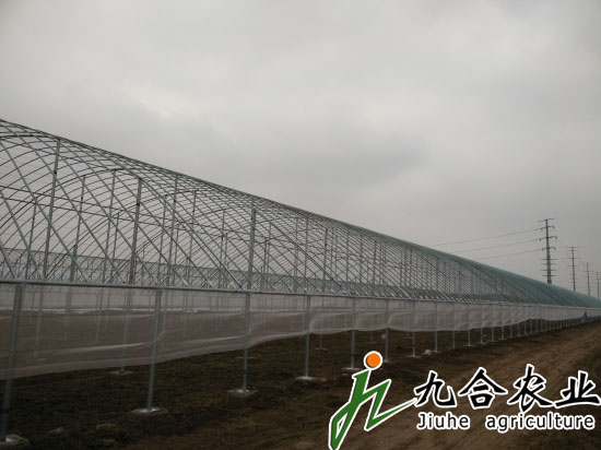 濰坊金寶坊安農(nóng)博園（全鋼架立柱拱棚）