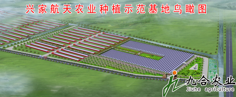天津興家航天農(nóng)業(yè)園（陽(yáng)光板智能連棟溫室）