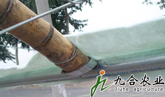 河南虞城幸福農(nóng)場（拱棚）
