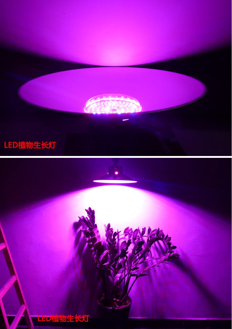 智能溫室Led植物生長補(bǔ)光燈