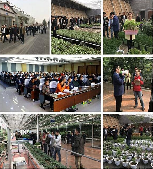 盆栽蔬菜及培訓(xùn)課堂