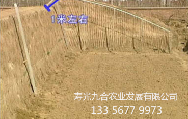 后坡凸起的長(zhǎng)度