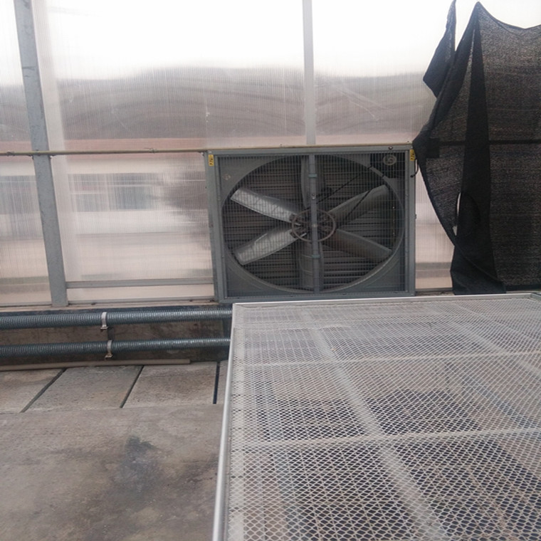 大棚風(fēng)機(jī).jpg