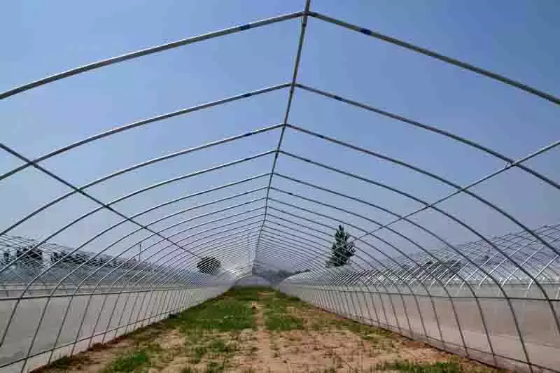 鋼管簡易拱棚.jpg