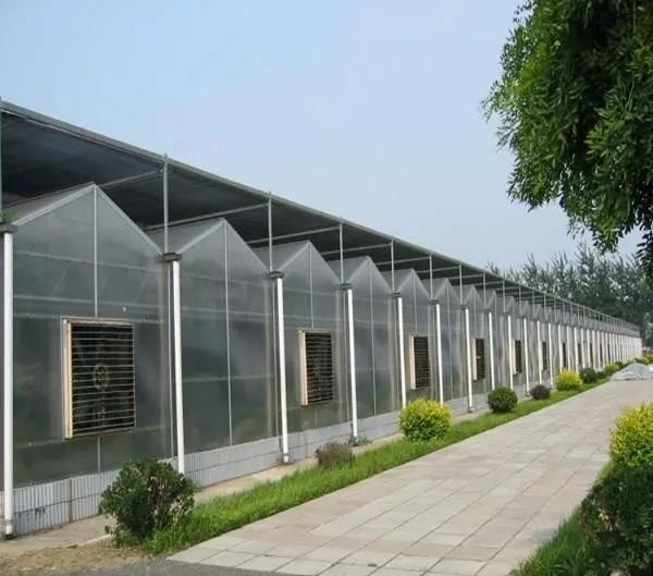 PC日光板溫室.jpg
