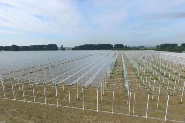 文洛（Venlo）型溫室.jpg