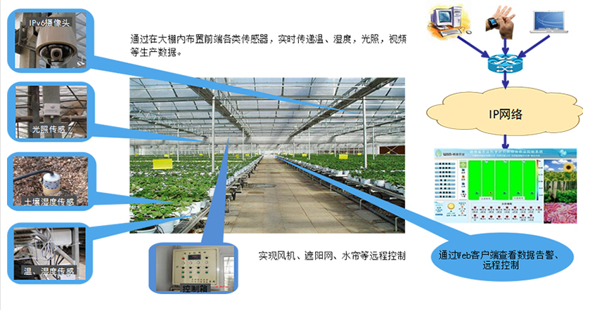 物聯(lián)網傳感器.png