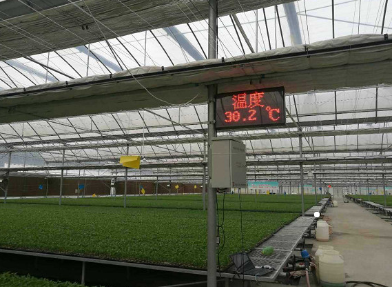 智能溫室自動(dòng)控制系統(tǒng)